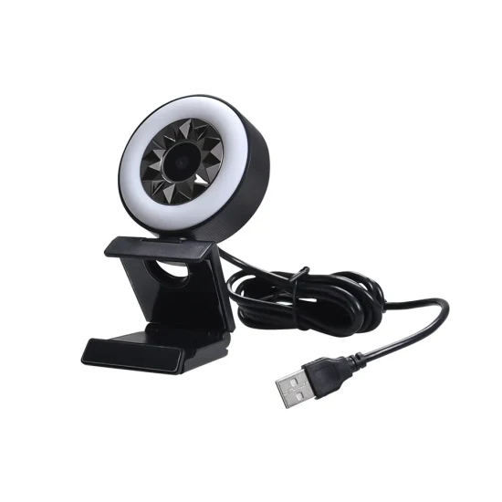 Cours en ligne de microphone de webcam d'ordinateur 2K Caméra espion de vidéosurveillance numérique LED